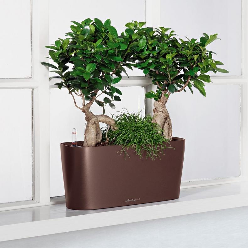 le_delta20_product_addi_04